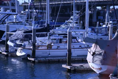 DSC_0881 (Large).JPG